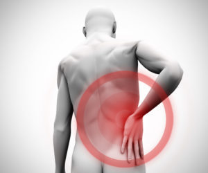 Digital figure with highlighted back pain